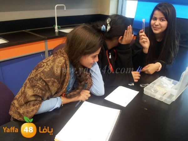 shamela 3omlom (7).jpg